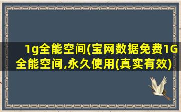 1g全能空间(宝网数据免费1G全能空间,永久使用(真实有效))插图