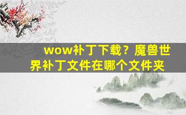 wow补丁下载？魔兽世界补丁文件在哪个文件夹插图