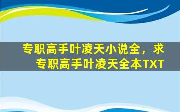 专职高手叶凌天小说全，求专职高手叶凌天全本TXT