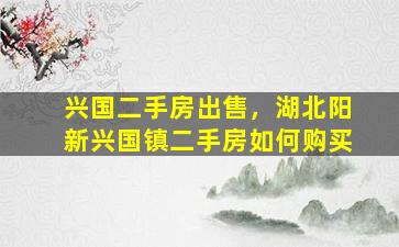 兴国二手房*，湖北阳新兴国镇二手房如何购买