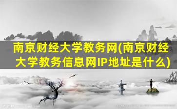 南京财经大学教务网(南京财经大学教务信息网IP地址是什么)