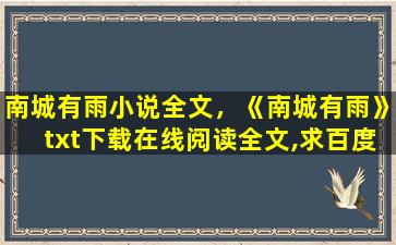 南城有雨小说全文，《南城有雨》txt下载在线阅读全文,求百度网盘云资源