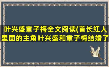 叶兴盛章子梅全文阅读(首长红人里面的主角叶兴盛和章子梅结婚了吗)插图