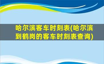 哈尔滨客车时刻表(哈尔滨到鹤岗的客车时刻表查询)