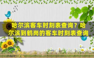 哈尔滨客车时刻表查询？哈尔滨到鹤岗的客车时刻表查询插图