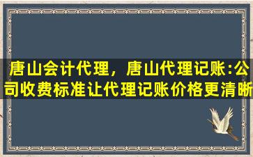 唐山会计代理，唐山代理记账：*收费标准让代理记账价格更清晰