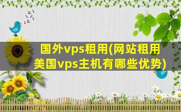 国外vps租用(网站租用美国vps主机有哪些优势)