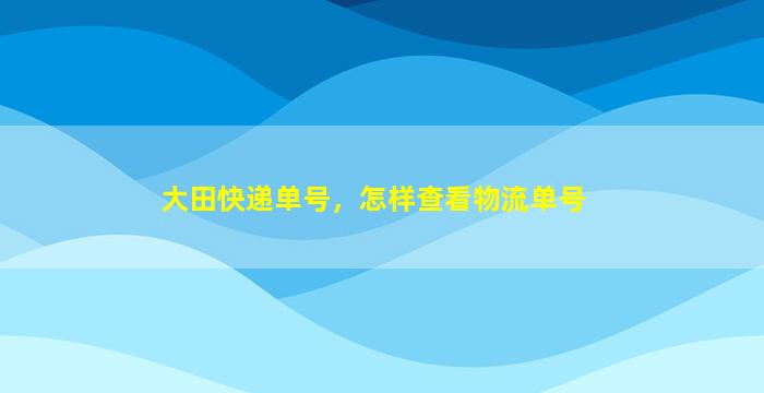 大田快递单号，怎样查看物流单号