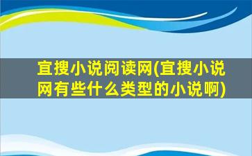 宜搜小说阅读网(宜搜小说网有些什么类型的小说啊)