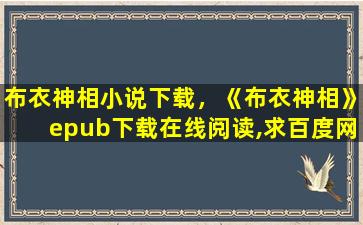 布衣神相小说下载，《布衣神相》epub下载在线阅读,求百度网盘云资源插图