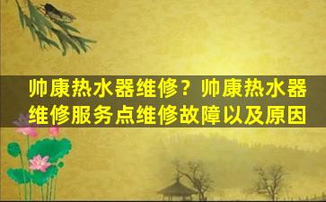 帅康热水器维修？帅康热水器维修服务点维修故障以及原因插图