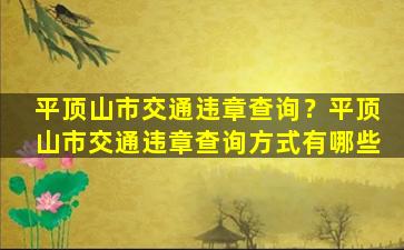 平顶山市交通违章查询？平顶山市交通违章查询方式有哪些