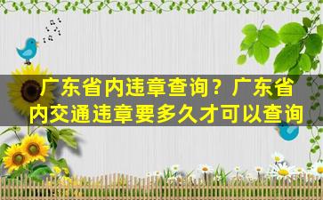 广东省内违章查询？广东省内交通违章要多久才可以查询