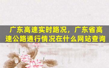 广东高速实时路况，广东省高速公路通行情况在什么网站查询