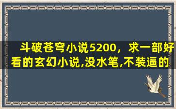 斗破苍穹小说5200，求一部好看的玄幻小说,没水笔,不*的小说,比如斗破苍穹,