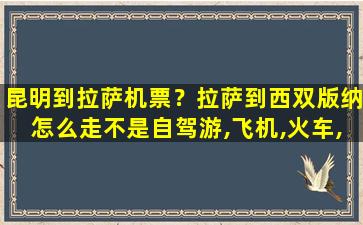 昆明到拉萨机票？拉萨到西双版纳怎么走不是自驾游,飞机,火车,汽车都可以