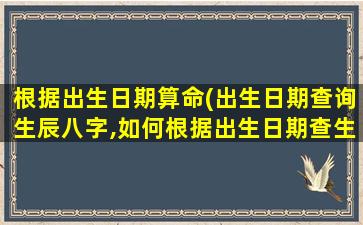 根据出生日期算命(出生日期查询生辰八字,如何根据出生日期查生辰八字)插图