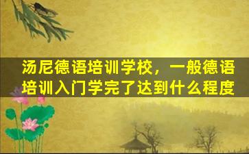 汤尼德语培训学校，一般德语培训入门学完了达到什么程度插图