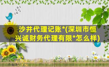 沙井代理记账*(深圳市恒兴诚财务代理有限*怎么样)插图