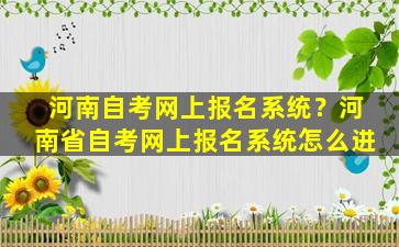 河南自考网上报名系统？河南省自考网上报名系统怎么进