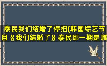 泰民我们结婚了停拍(韩国综艺节目《我们结婚了》泰民哪一期是哪年哪月哪号的)