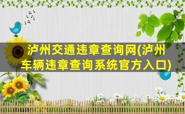 泸州交通违章查询网(泸州车辆违章查询系统官方入口)插图