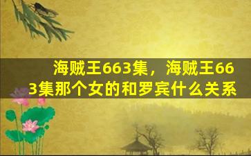 海贼王663集，海贼王663集那个女的和罗宾什么关系插图