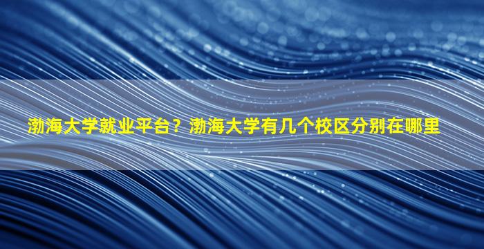 渤海大学就业平台？渤海大学有几个校区分别在哪里