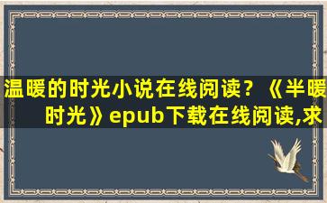 温暖的时光小说在线阅读？《半暖时光》epub下载在线阅读,求百度网盘云资源