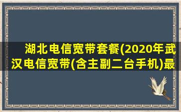 湖北电信宽带套餐(2020年武汉电信宽带(含主副二台手机)最低套_是*一月)