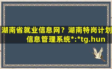 湖南省就业信息网？湖南特岗计划信息管理系统*：http：tg.hunbys*插图