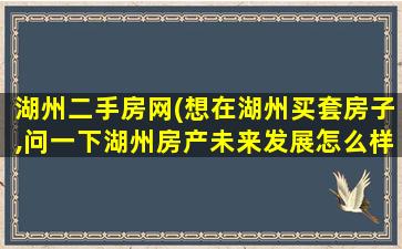 湖州二手房网(想在湖州买套房子,问一下湖州房产未来发展怎么样)插图