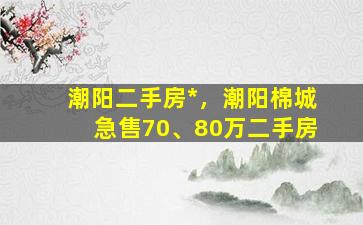 潮阳二手房*，潮阳棉城急售70、80万二手房