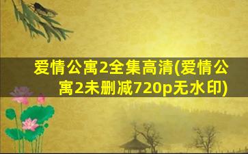 爱情公寓2全集高清(爱情公寓2未删减720p无水印)插图