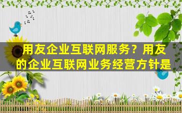 用友企业互联网服务？用友的企业互联网业务经营方针是插图