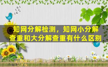 知网分解检测，知网小分解查重和大分解查重有什么区别插图