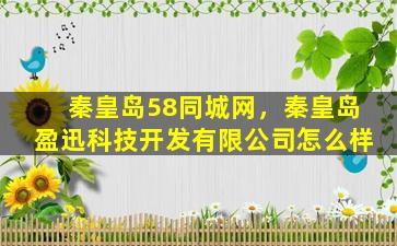 秦皇岛58同城网，秦皇岛盈迅科技开发有限*怎么样