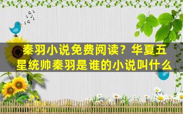 秦羽小说免费阅读？华夏五星统帅秦羽是谁的小说叫什么插图