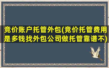 竞价账户托管外包(竞价托管费用是多钱找外包*做托管靠谱不)