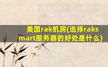 美国rak机房(选择raksmart服务器的好处是什么)插图