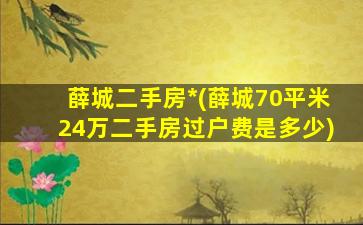 薛城二手房*(薛城70平米24万二手房过户费是多少)