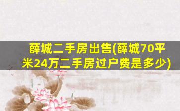 薛城二手房*(薛城70平米24万二手房过户费是多少)