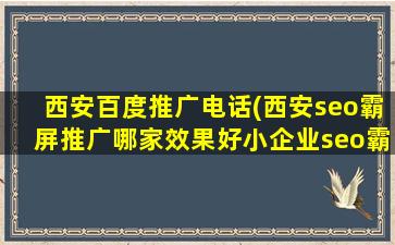 西安百度推广电话(西安seo霸屏推广哪家效果好小企业seo霸屏推广该不该做)