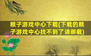 赖子游戏中心下载(下载的赖子游戏中心找不到了请御截)插图