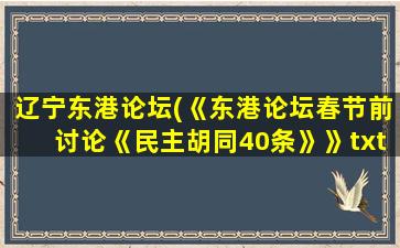 辽宁东港论坛(《东港论坛春节前讨论《民主胡同40条》》txt全集下载)