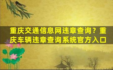 重庆交通信息网违章查询？重庆车辆违章查询系统官方入口插图