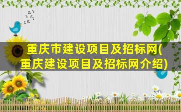 重庆市建设项目及招标网(重庆建设项目及招标网介绍)