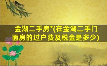 金湖二手房*(在金湖二手门面房的过户费及税金是多少)