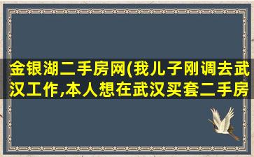 金银湖二手房网(我儿子刚调去武汉工作,本人想在武汉买套二手房需要什么条件)插图