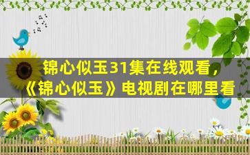 锦心似玉31集在线观看，《锦心似玉》电视剧在哪里看